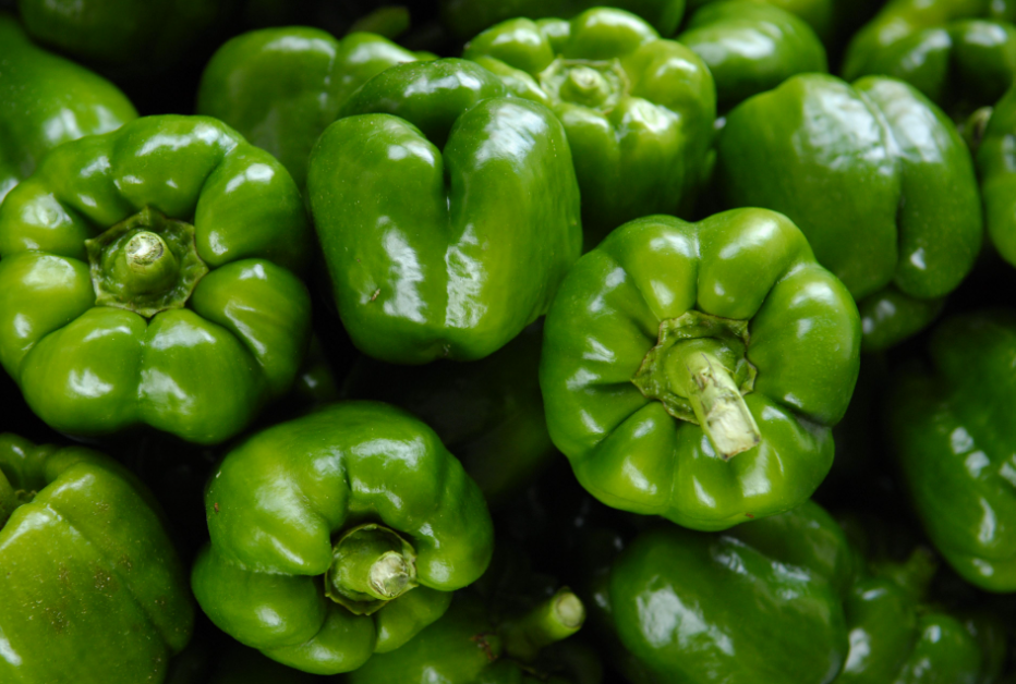 Capsicum
