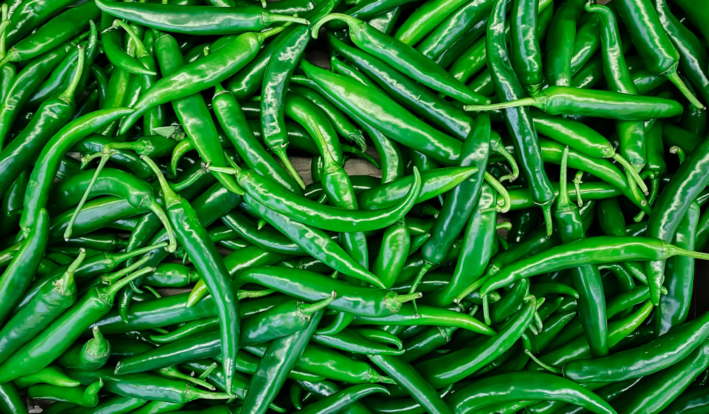 Chilli