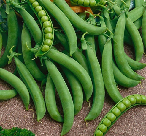 Peas